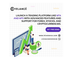 MT5 Clone Script - Create a Pro-Level Trading Platform with Hivelance
